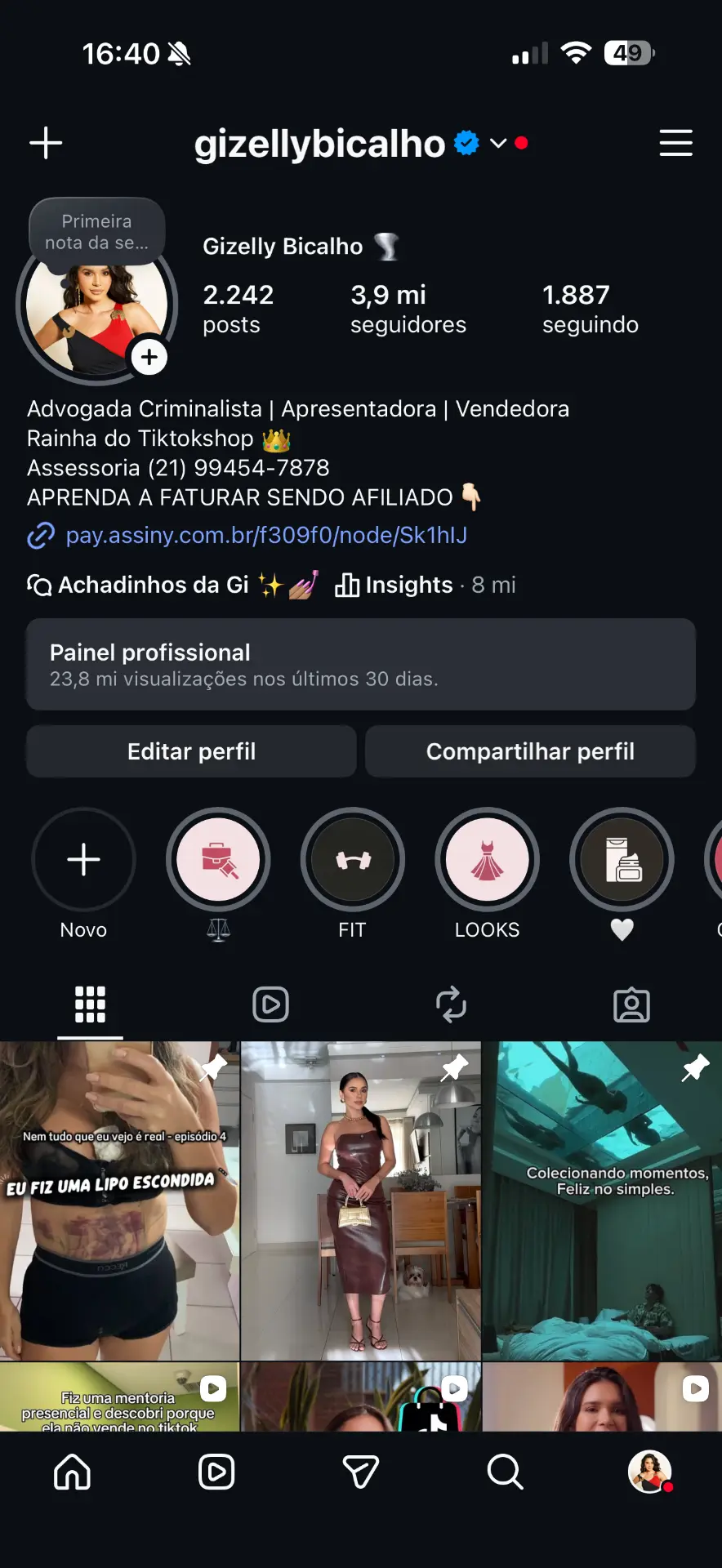 Print de resultado do Instagram